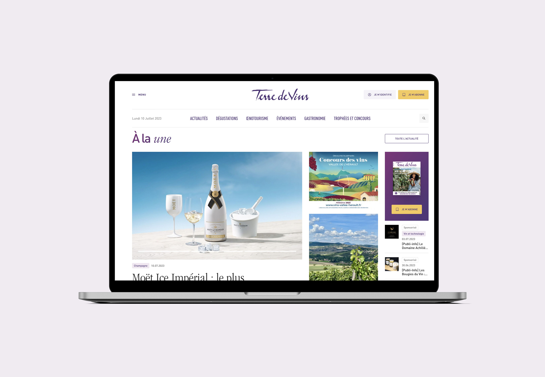 Mockup Desktop Terredevins 01 Reduit