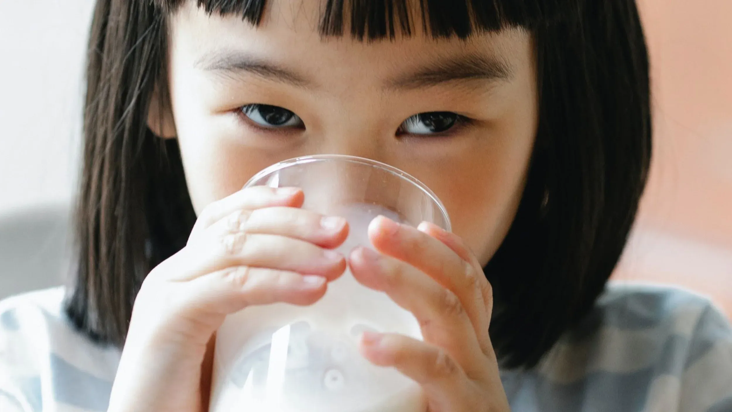 Header Lactalis Food Service