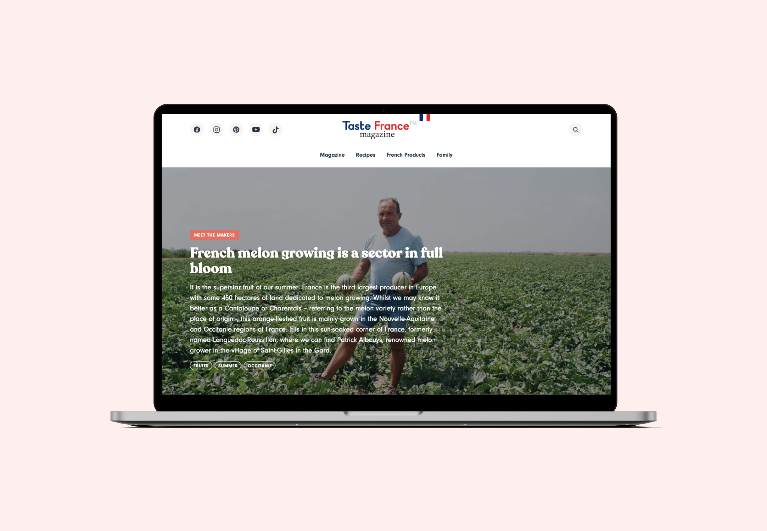 Mockup Desktop Tastefrance 01