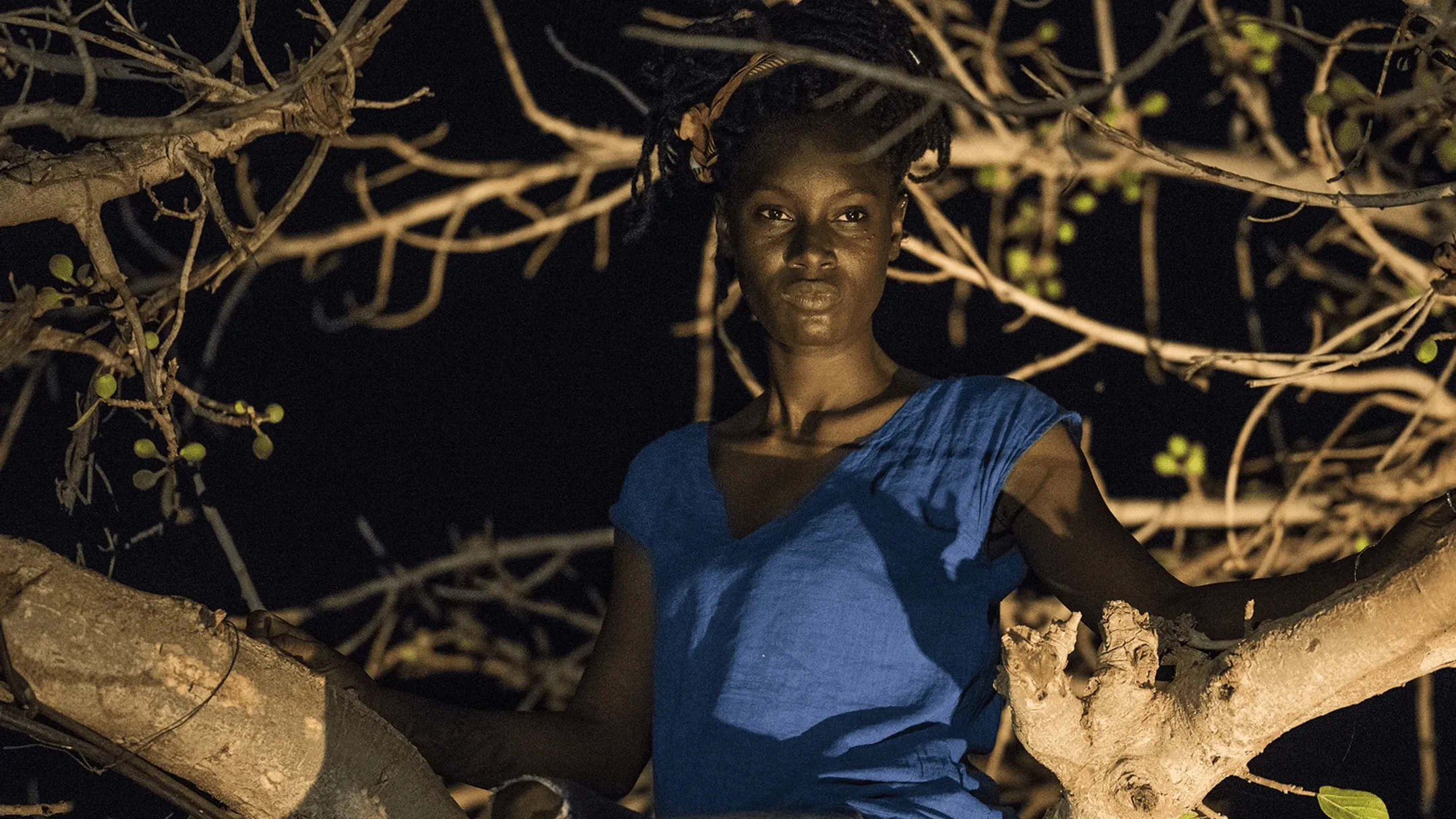 Intro Artichoc 187460 Photo Qtvsk 1